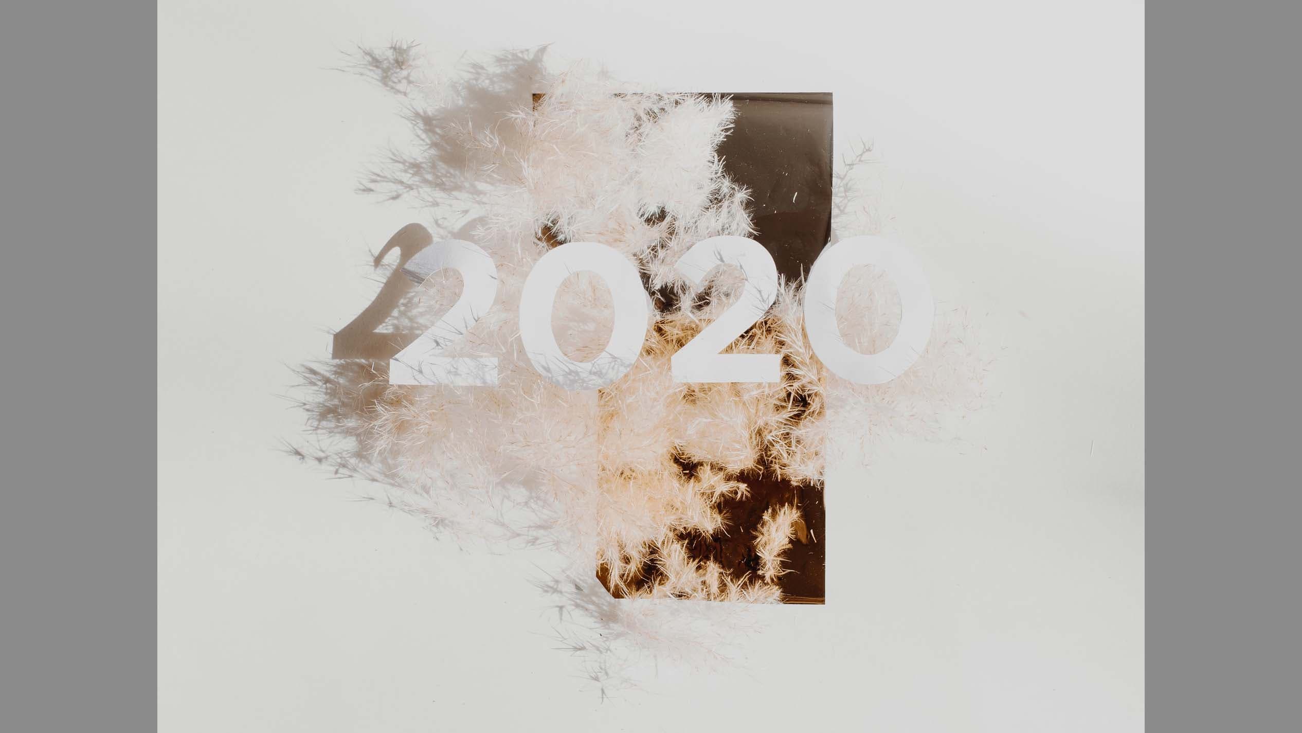 Cover Image for 2020年の振り返り