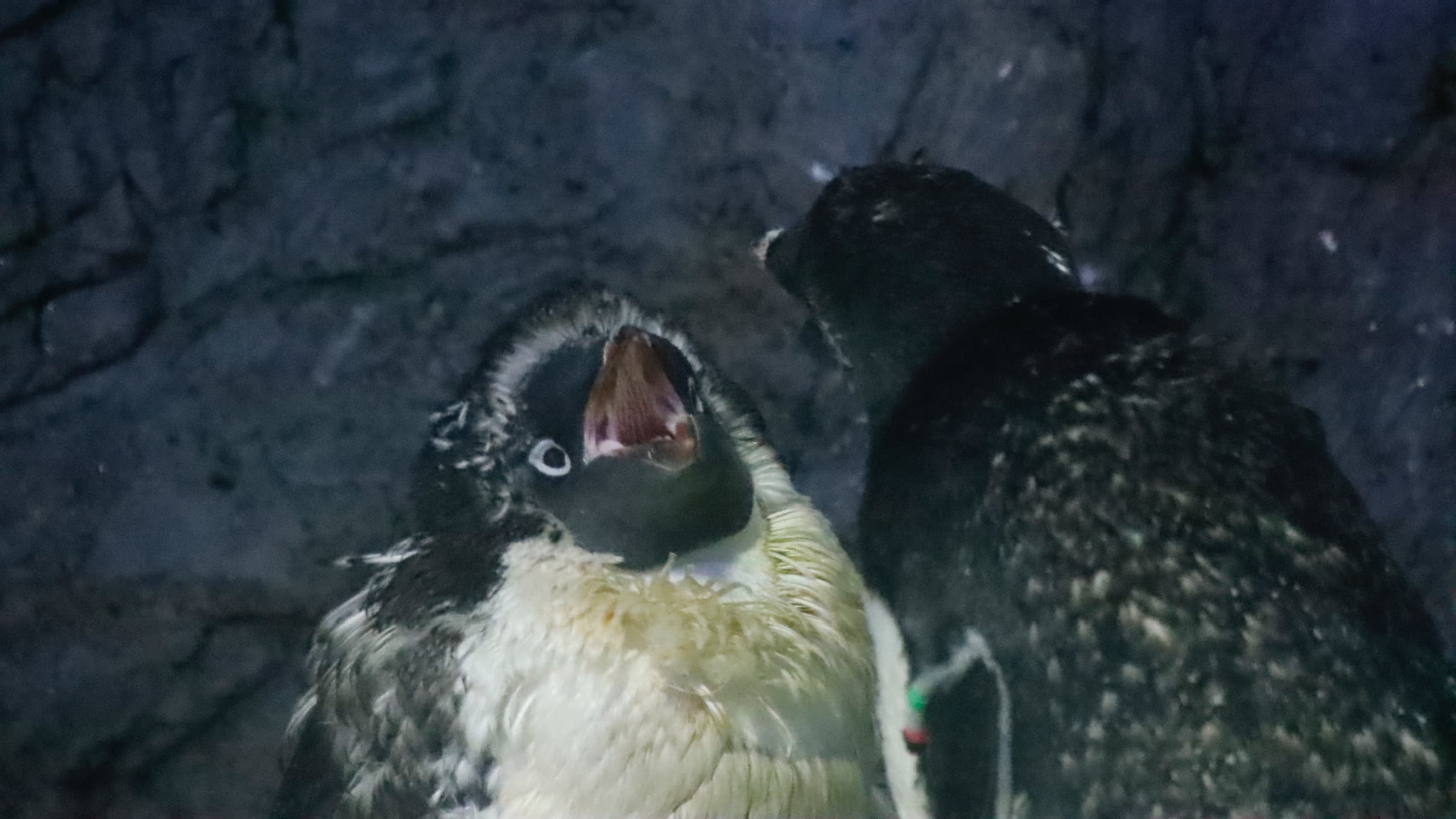 Cover Image for 2025年の振り返り